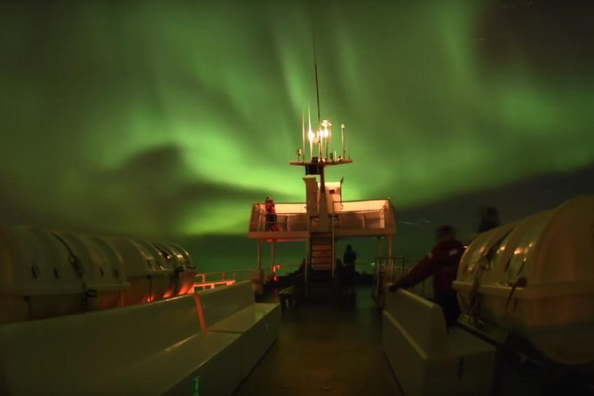 Winter Whale Watching and Northern Lights Cruise from Reykjavik - A break before the aurora search